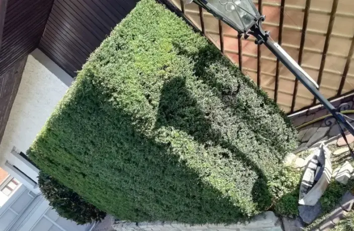 Beispielarbeit von Garten-Service Süsin - veröffentlicht auf Gartenbau.org